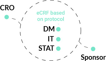 Experienced eCRF Design and Management