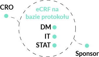 eCRF: kompleksowa konfiguracja i zarządzanie